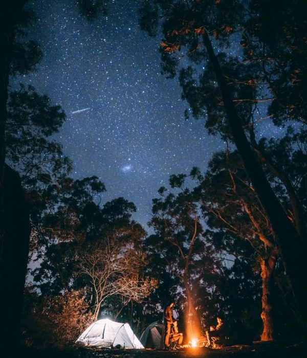 Nature camping trip in the woods